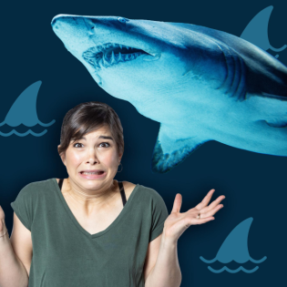 Haie - Gefürchtete und gefährdete Jäger der Meere