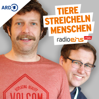 Das Wunder des Fliegens