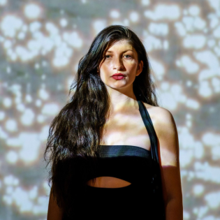 ARTIST TALK. IN CONVERSATION WITH SELMA SELMAN