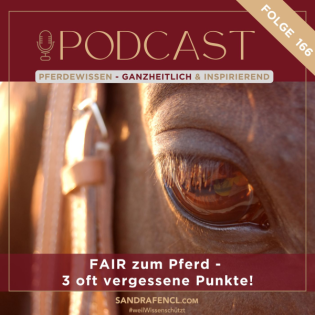 FAIR zum Pferd - 3 oft vergessene Punkte!