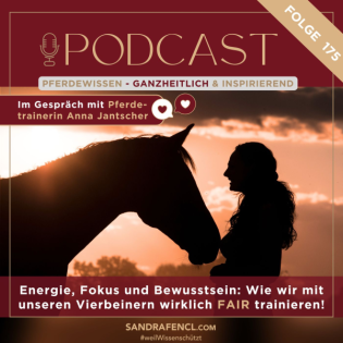 Energie, Fokus und Bewusstsein: Wie wir mit unseren Vierbeinern wirklich FAIR trainieren!