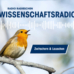 Wissenschaftsradio: Zwitschern und Lauschen