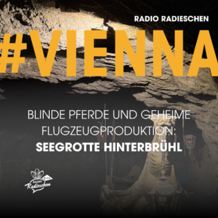 Geheime Flugzeugproduktion und blinde Pferde: Seegrotte Hinterbrühl