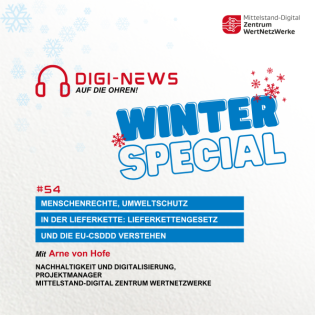 Folge 54 - Menschenrechte, Umweltschutz in der Lieferkette: Lieferkettengesetz und die EU-CSDDD verstehen