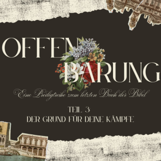 Die Offenbarung Teil 3 - Der Grund für deine Kämpfe