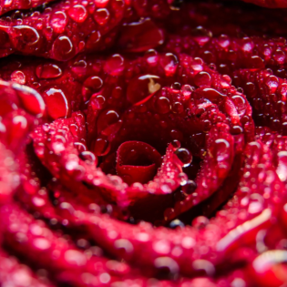 Menstruelle Gesundheit, Yoga & Weiblichkeit | Zu Gast: Saskia Mahler