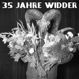 35 Jahre Widder - Politik