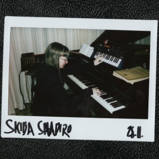 Skiba Shapiro am Flügel (28.11.24)