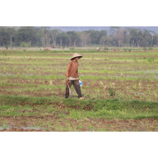 Verfügbar und treu, auch wenn kein Erfolg sichtbar ist