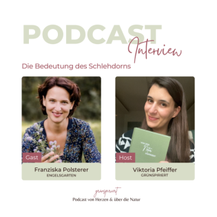 Der Ur-Großvater der Zwetschke | Der Schlehdorn und die Bedeutung von Heckenpflanzen mit Franziska Polsterer
