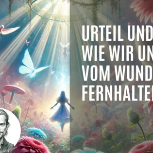 347 Ärger muss von Urteil kommen - Urteil ist die Waffe, die ich gegen mich verwende, um Wunder...