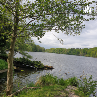 Tipps für Körper, Geist und Seele