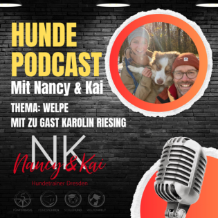 Welpen, Zucht, Beschäftigung und der passende Hund