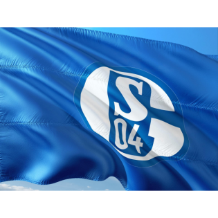 Schalke vor dem Spiel gegen den VFB