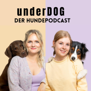 Wenn ein Hund einziehen soll ... Anschaffungsberatung