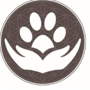 Beispiele für Gefühlsansteckung