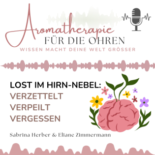 Lost im Hirn-Nebel: Verzettelt, verpeilt, vergessen