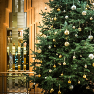 Weihnachtslieder. Woher kommen sie, was wissen wir über sie?