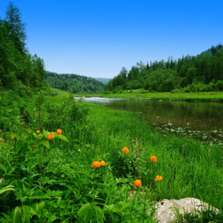 Der Sonntag-Morgen (vom 01.06.25)