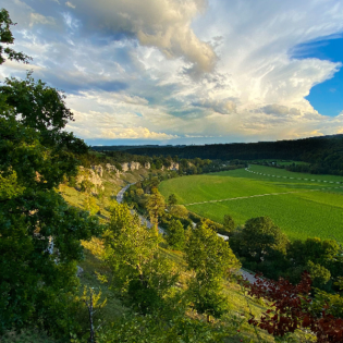 Der Sonntag-Morgen (vom 22.06.25)