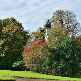 Der Sonntag-Morgen (vom 12.10.25)