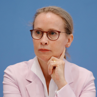 Der Fall Brosius-Gersdorf - So beeinflussen Online-Kampagnen Politik