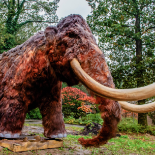 Mammut-Projekt - Die Rückkehr der Ausgestorbenen