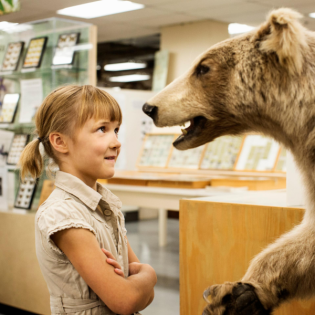 Kakadu - eure Fragen - Warum gibt es im Museum tote Tiere?