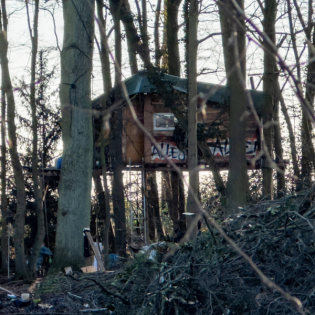 Hambacher Tagebau - Warum das Sündenwäldchen gerodet werden soll