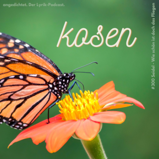 #300 Heinrich Seidel - Wie schön ist doch das Fliegen