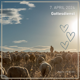 Sorge für meine Schafe