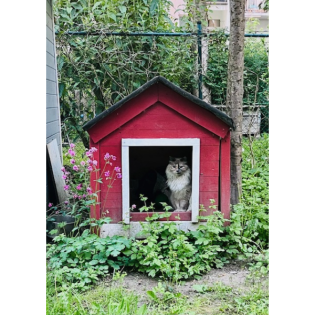 Am Liebsten komm ich bald zurück