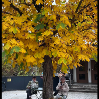 Liebenswerte alte Dame mit Hut