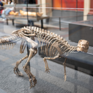 Die Kunst der Benennung