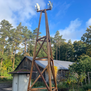 Sägewerk auf dem Weg zur Klimaneutralität