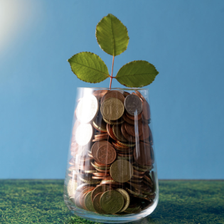 Studie veranschlagt hohe Kosten für Energiewende