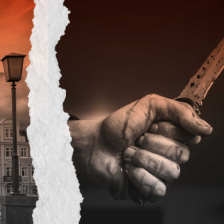 Mit Blindheit geschlagen (2/2) - Krimi-Reihe: Stachelmanns zweiter Fall