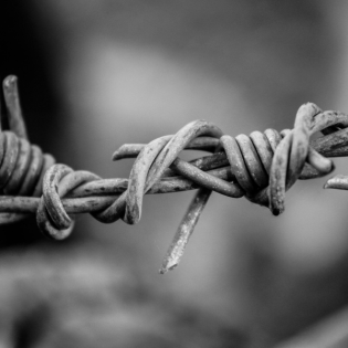 Mord im Kopf - Krimi-Hörspiel: Desertion und Verrat