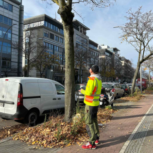 Grün in der Stadt: Unterwegs mit einem Baumkontrolleur