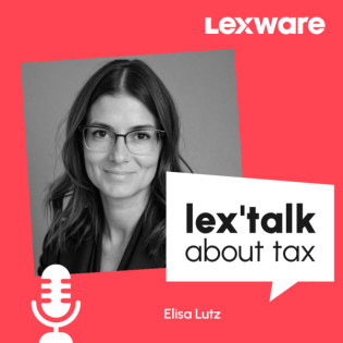 Hybrid arbeiten oder gleich ganz im Home-Office bleiben? Remote in der Steuerbranche