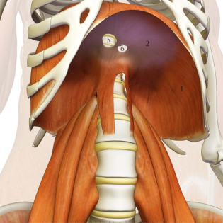87_Das Bewegungsproblem