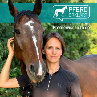 Wer entscheidet, ob deine Reiterei scheiße ist.