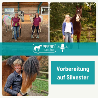 Vorbereitung auf Silvester - für dein Pferd und dich