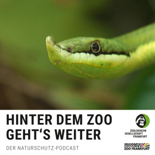 Vom Toxin zur Tablette: Geheimnis der Gifte