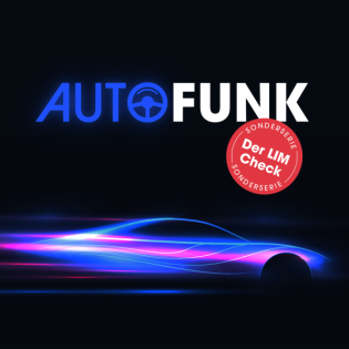 Autofunk LIM-Check