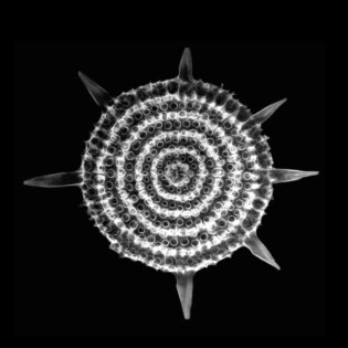 Beeinflusst die Erdbahn wirklich das Klima? Milanković-Zyklen auf dem Prüfstand