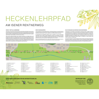 Von der Dampflok zum Schmetterling: Der Heckenlehrpfad Isen – So verwandelt Bürgerengagement eine alte Bahntrasse in ein grünes Klassenzimmer
