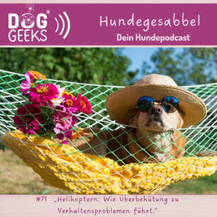 #71 DogGeeks-Hundegesabbel „Helikoptern: Wie Überbehütung zu Verhaltensproblemen führt."