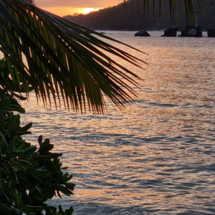 Der Preis fürs "good old Europa" Modell sollte von Innovationen getragen werden