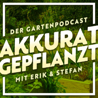 Episode 32: Projekt Rote Gurke